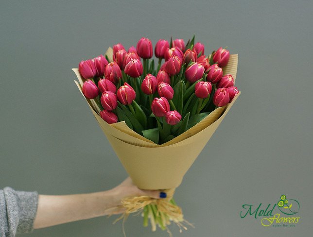 Букет из голландских пионовидных тюльпанов Фото