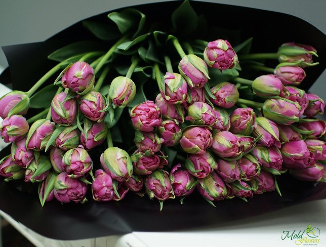 Peony-type tulip, pink color photo