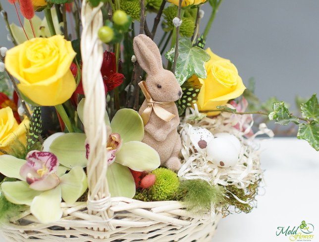 Easter Composition with Bunny photo