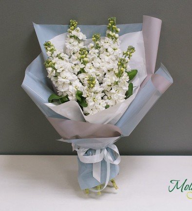 Bouquet of white stock flowers photo 394x433