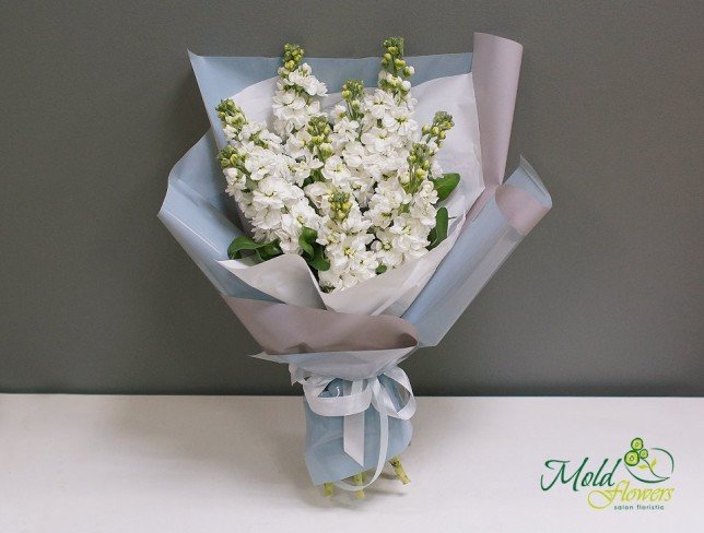 Bouquet of white stock flowers, wrapped in gray and light blue paper, tied with white ribbon