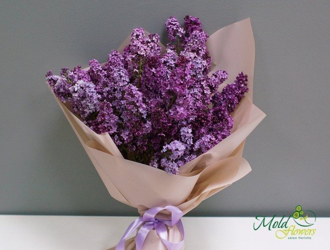 Bouquet of lilacs photo