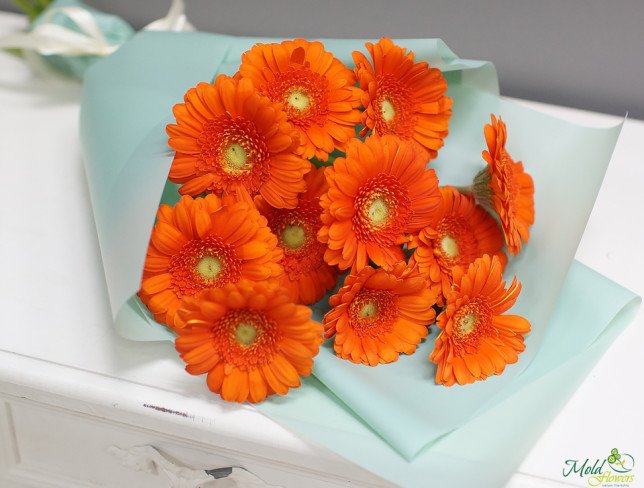 Bouquet of orange gerberas, wrapped in light blue paper, tied with white ribbon