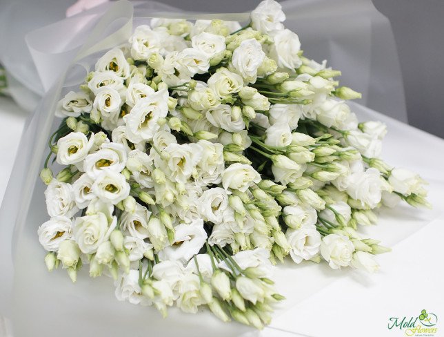 Bouquet of white lisianthus photo