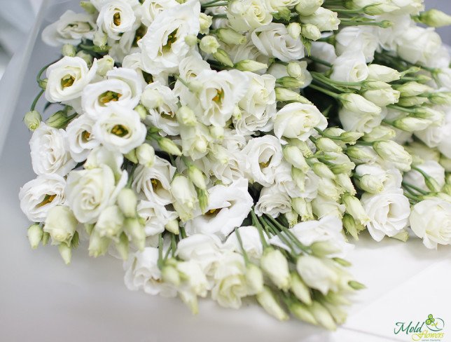 Bouquet of white lisianthus photo