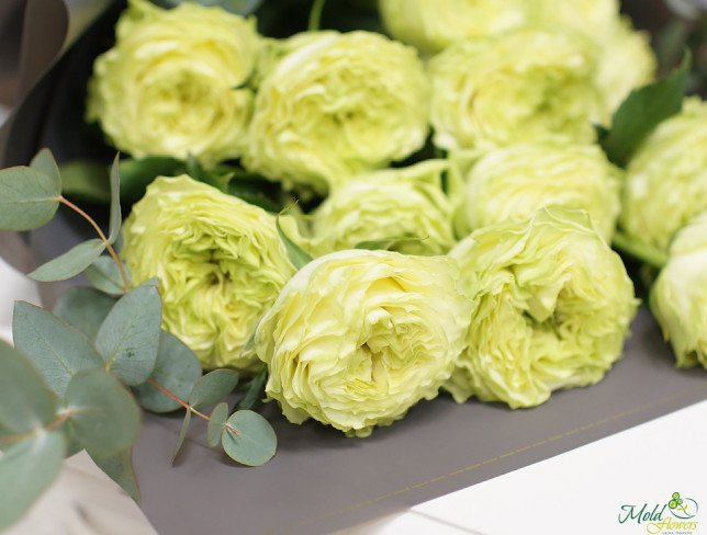 Bouquet of green roses and eucalyptus photo