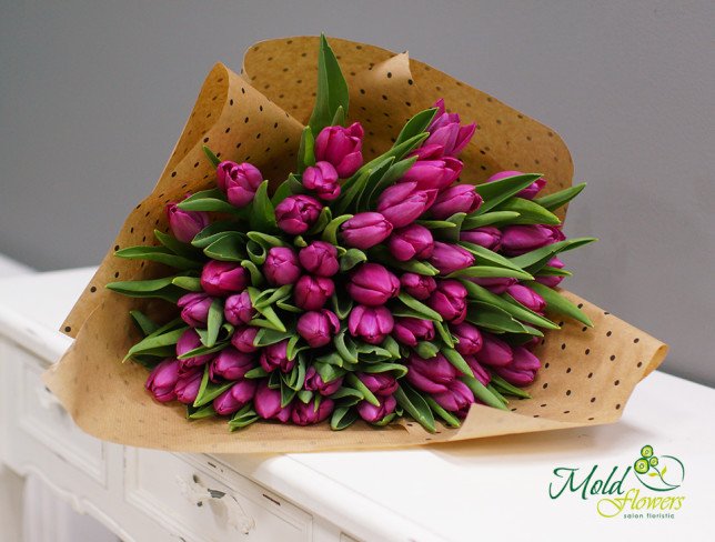 Dutch violet tulip (ON ORDER, 10 days) photo