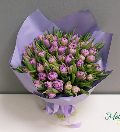 Dutch Peony Tulip, violet color (pre-order, 10 days) photo 394x433