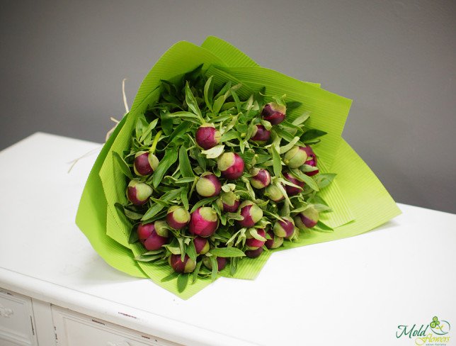 Peony bouquet wrapped in green paper photo