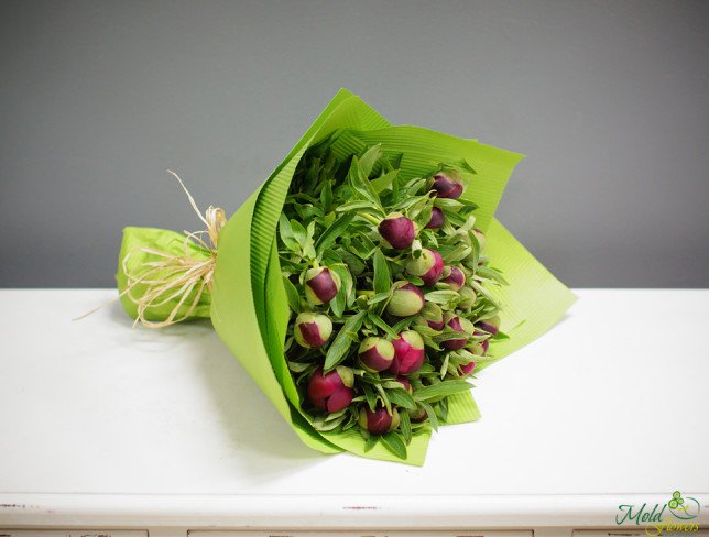 Peony bouquet wrapped in green paper photo