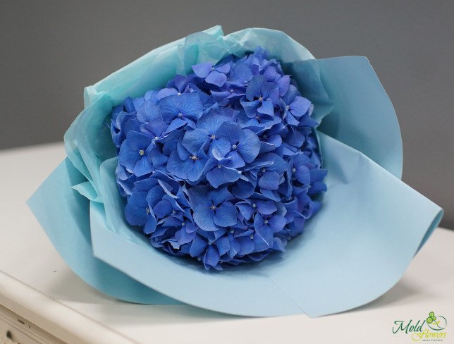 Buchet din hortensie albastră foto