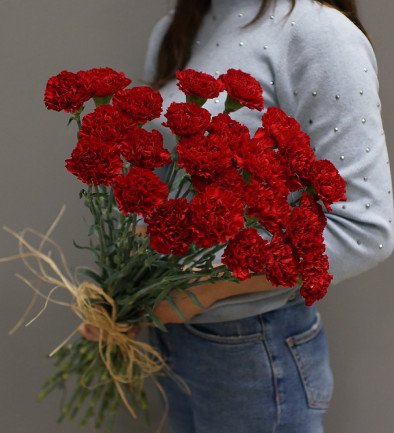 Red carnation (custom order, 10 days) photo 394x433