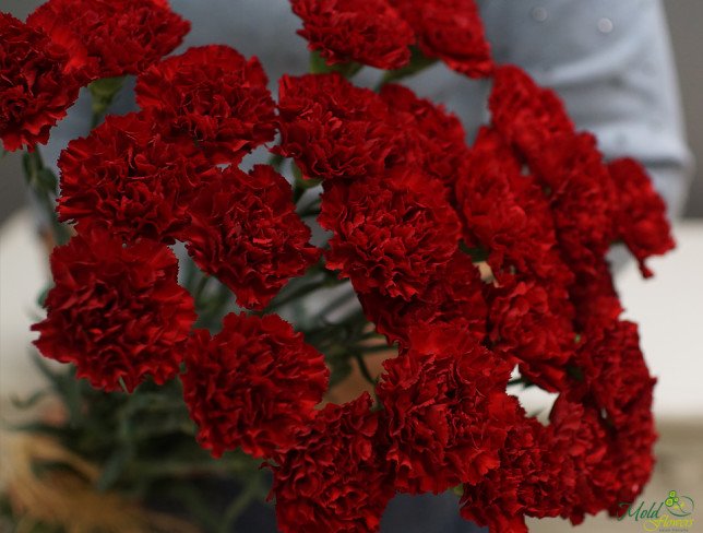 Red carnation (custom order, 10 days) photo