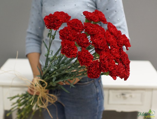 Red carnation (custom order, 10 days) photo