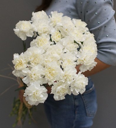 White Carnation photo 394x433