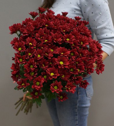 Хризантема бордовая голландская Фото 394x433