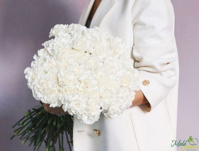 White Carnation photo