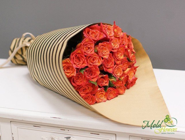 Роза оранжевая 30-40 см Фото
