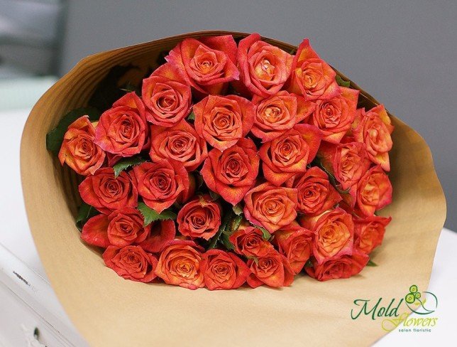 Роза оранжевая 30-40 см Фото