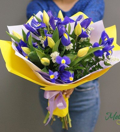 Bouquet of irises and yellow tulips photo 394x433
