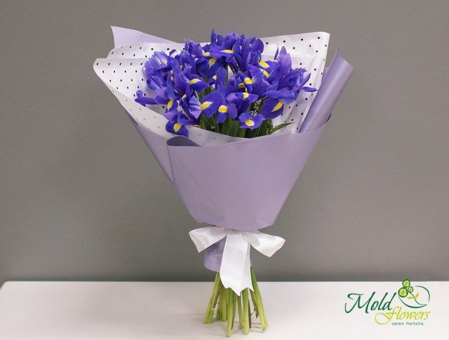 Iris violet /  1 bucata foto