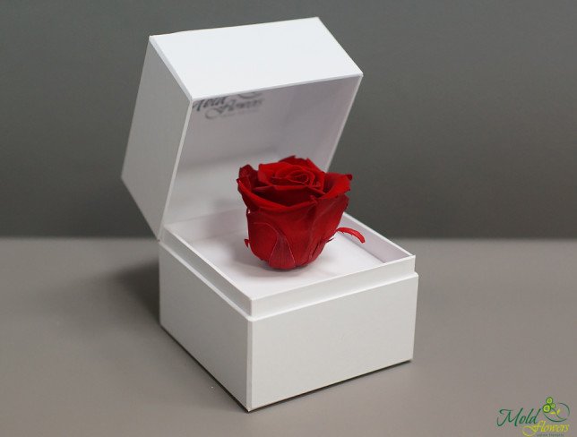 White box with eternal rose (red) photo