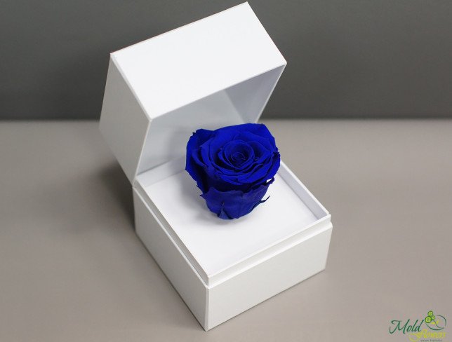 Белая коробочка с долговечной розой (синяя) Фото