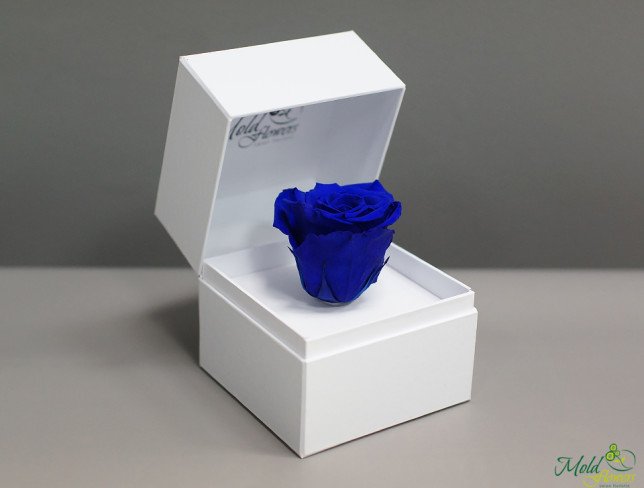 Белая коробочка с долговечной розой (синяя) Фото