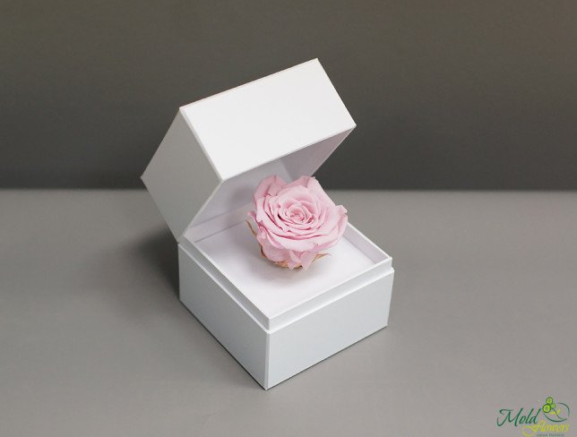 Белая коробочка с долговечной розой (розовая) Фото