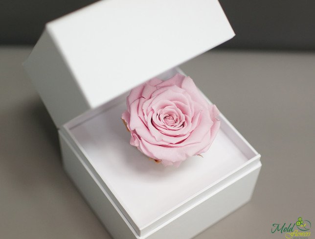 White box with crystallized rose (pink) photo