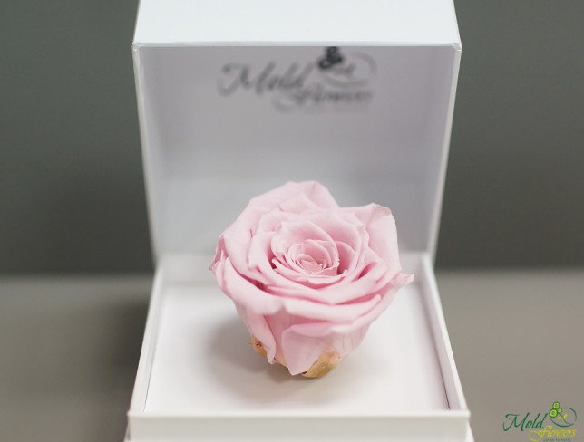 Белая коробочка с долговечной розой (розовая) Фото