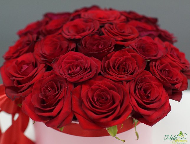 Розовая коробка с красными розами Фото