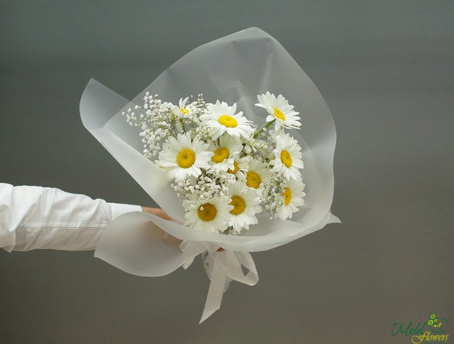 Bouquet of chamomile and baby's breath photo