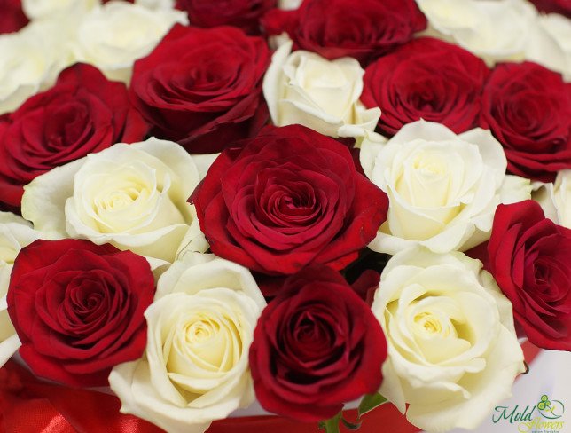 Большая белая коробка с красными и белыми розами фото