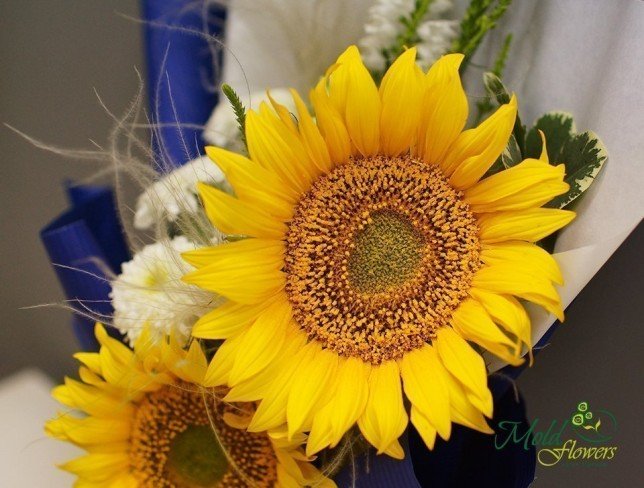 Sunflower bouquet photo