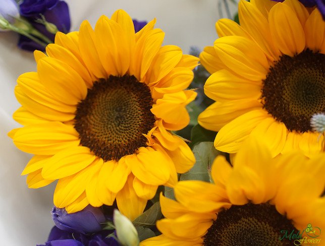 Bouquet of sunflowers and violet lisianthus photo