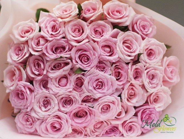Роза светло-розовая 30-40 см Фото