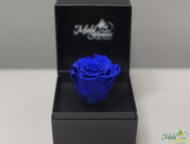 Durable rose box (blue) photo