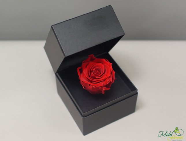 A box with a long-lasting rose (red) photo