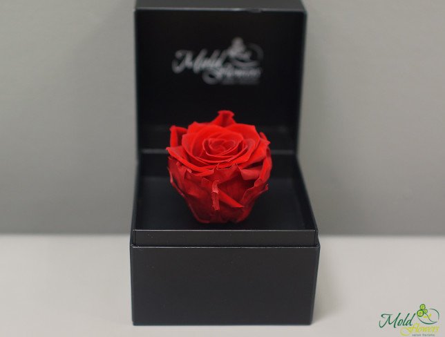A box with a long-lasting rose (red) photo