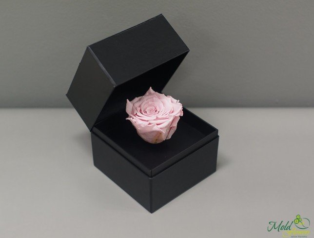 Чёрная коробочка с долговечной розой (розовая) Фото