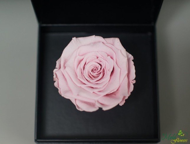 Чёрная коробочка с долговечной розой (розовая) Фото