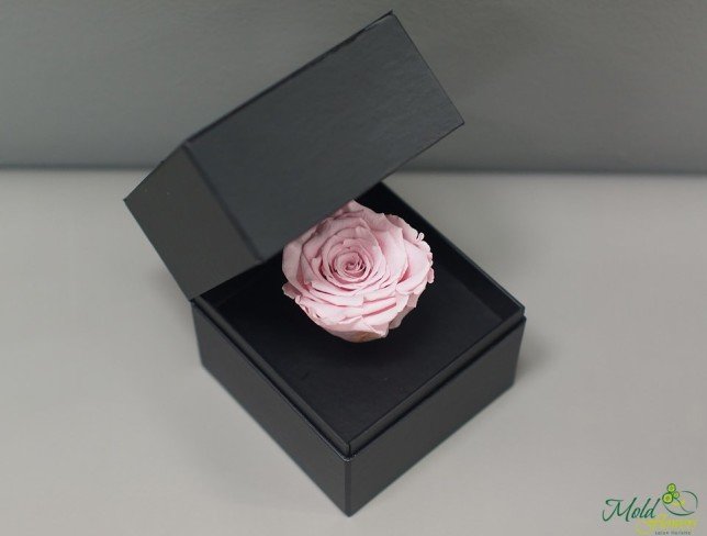 Cutiuța neagră cu trandafir etern (roz) foto
