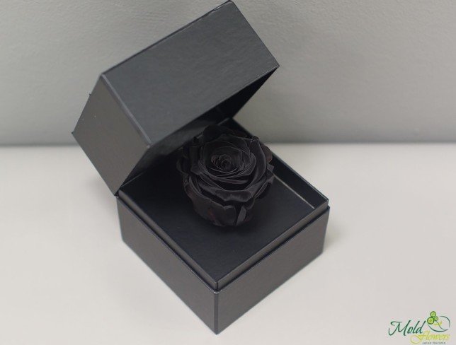 Чёрная коробочка с долговечной розой (чёрная) Фото