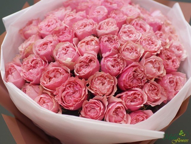 Пионовидная розовая роза Фото