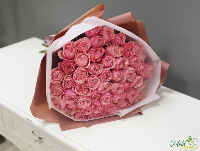Pink peony-style rose photo