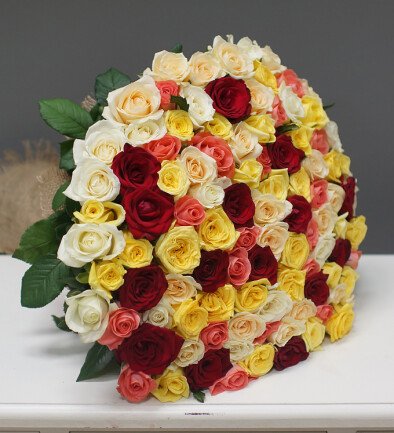 101 Trandafir multicolor 50 cm