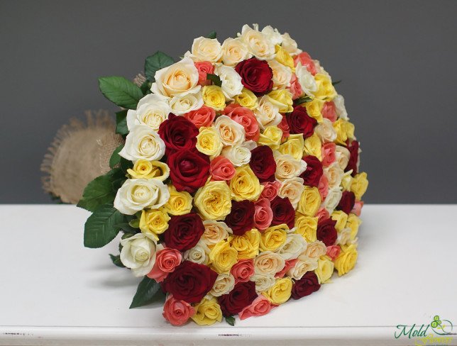 Buchet din 101 trandafir multicolor 50-60 cm de la moldflowers.md