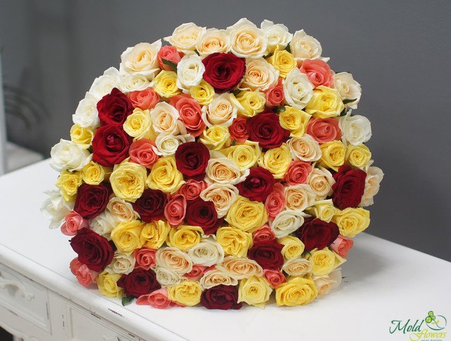 101 Multicolored Rose 50-60 cm photo