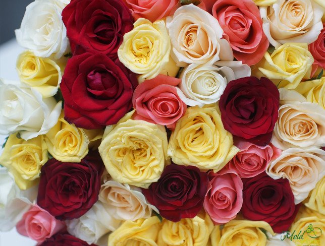 Buchet din 101 trandafir multicolor 50-60 cm de la moldflowers.md